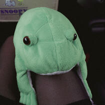 Princess Lili Rae frog Princess Lili Rae frog